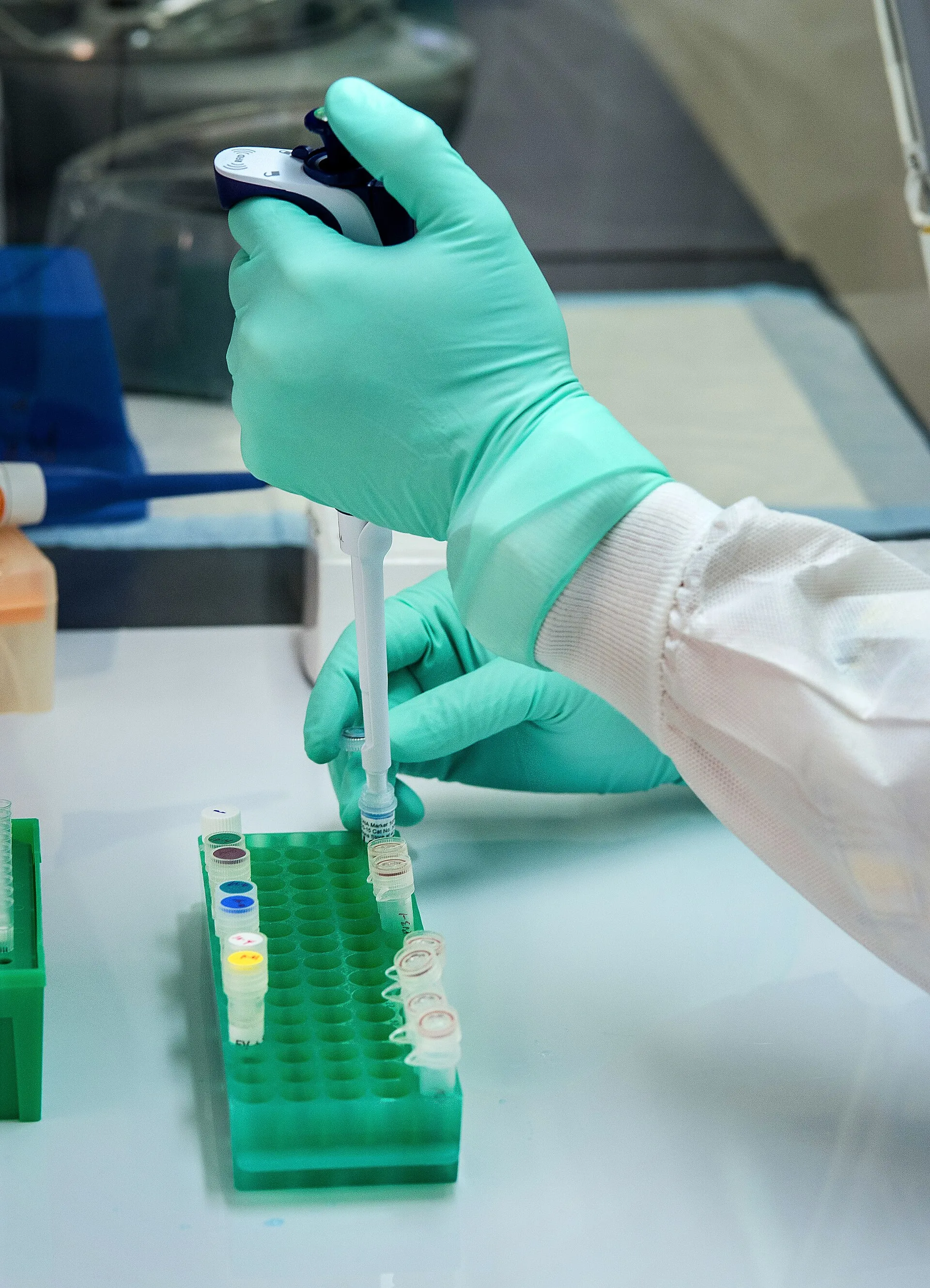 Gloved hands pipetting liquid into a rack of sample tubes.